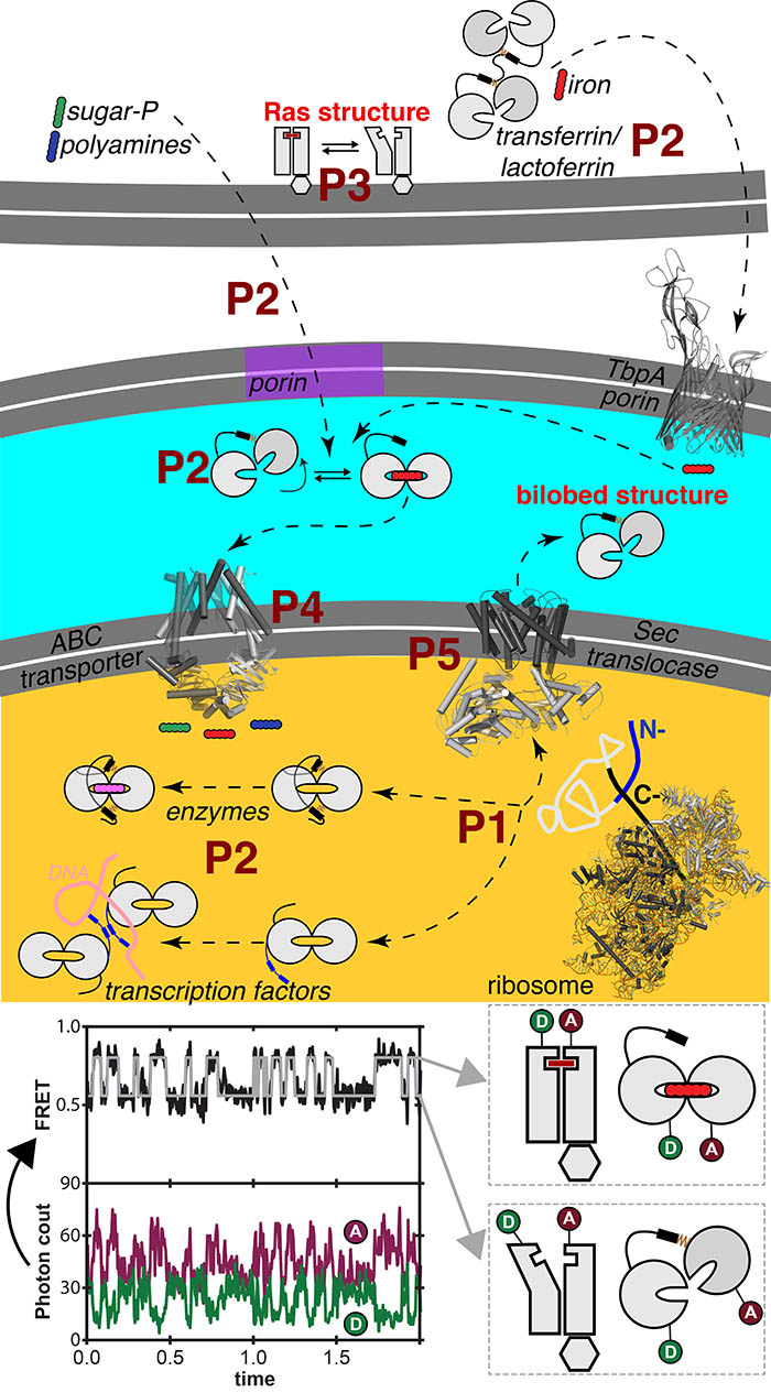 Research Diagram